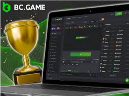 Exploring the BC.Game BR Platform A New Frontier in Online Gaming
