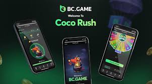 Exploring the BC.Game BR Platform A New Frontier in Online Gaming